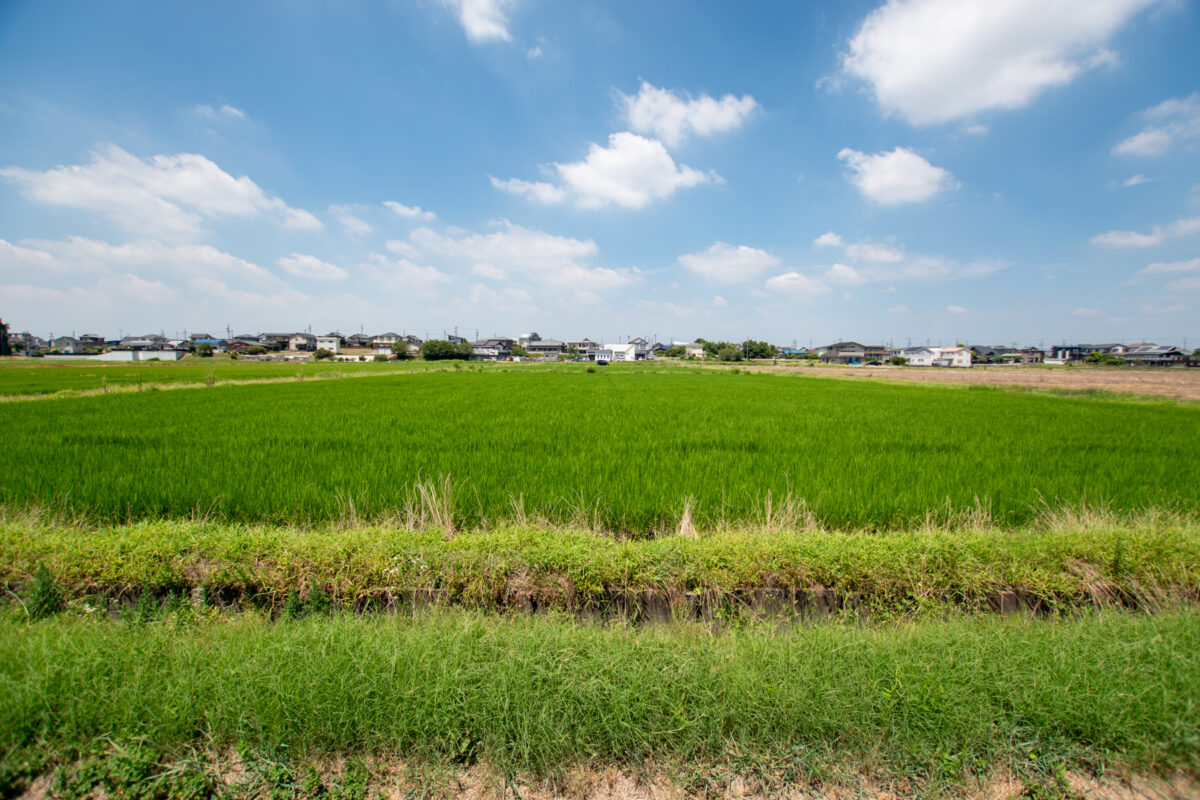 株式会社未来住建｜安城市｜注文住宅・マンションリノベ・定期借地権付分譲